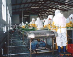 挑選機(jī)網(wǎng)帶 廣通網(wǎng)鏈與信息咨詢服務(wù)解析