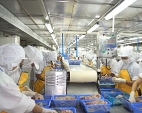 浙江省某海產(chǎn)品加工廠項目可行性研究報告